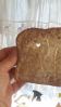 Heart shape hole in slice of bread (2)