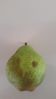 heart shape on home grown pear (2)